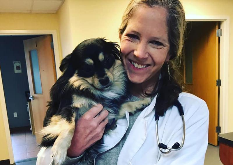 Hampstead Animal Hospital Hampstead Veterinarians